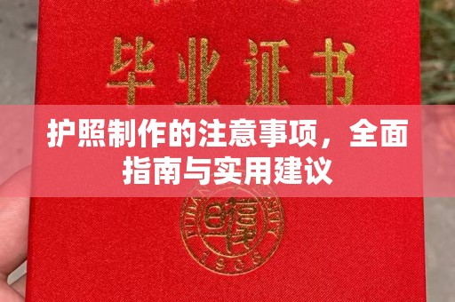 龙海护照制作的注意事项，全面指南与实用建议